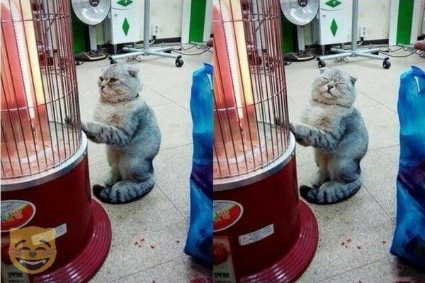 Демотиватор отопление