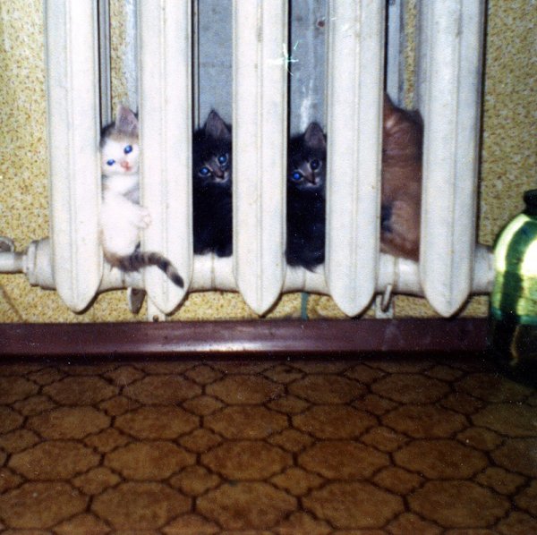 Демотиватор отопление