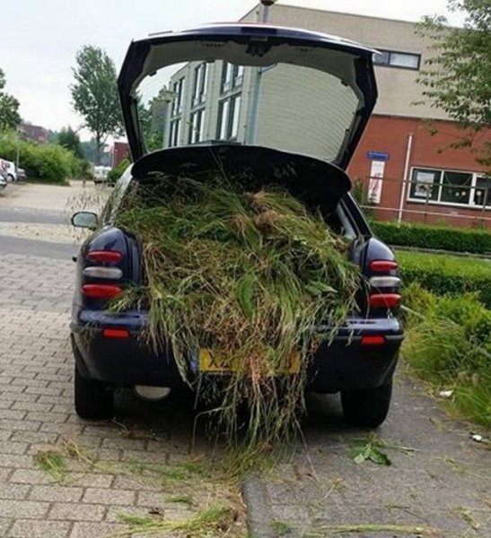 Прикольные авто