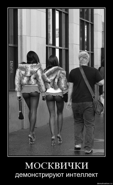 Демотиваторы про чулки