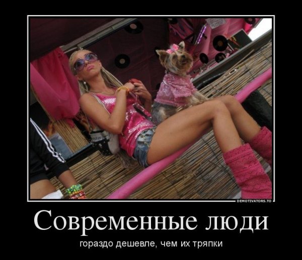 Гламурные приколы