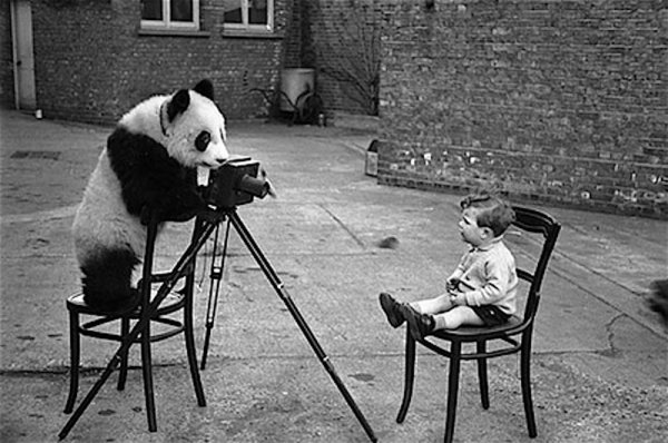 Прикольные черно белые фотографии