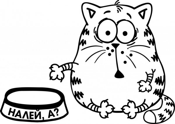 Раскраски смешные котики