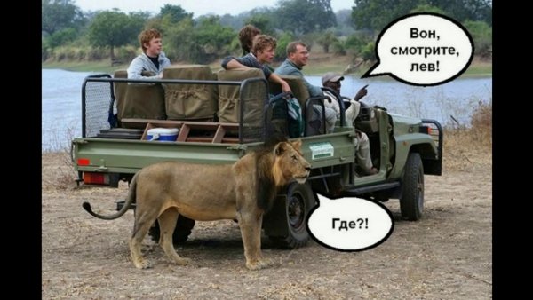 Убойные приколы