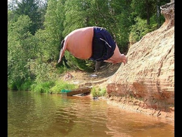 Смешные животные