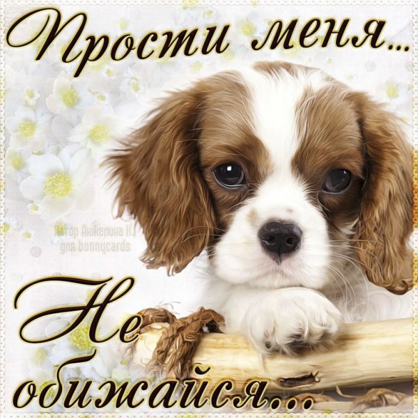 Открытки с извинениями