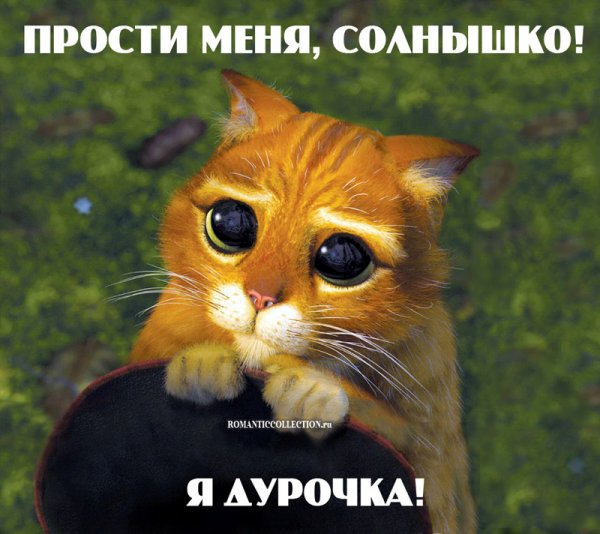 Извинения девушке