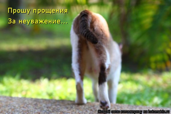 Фото с извинениями