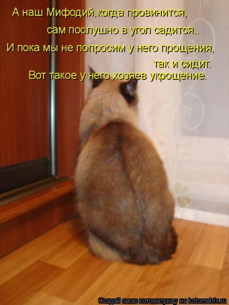 Просить прощение смешно