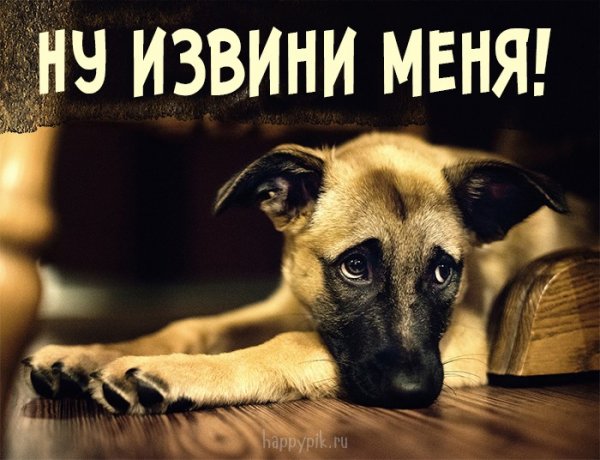 Смешная открытка с извинением