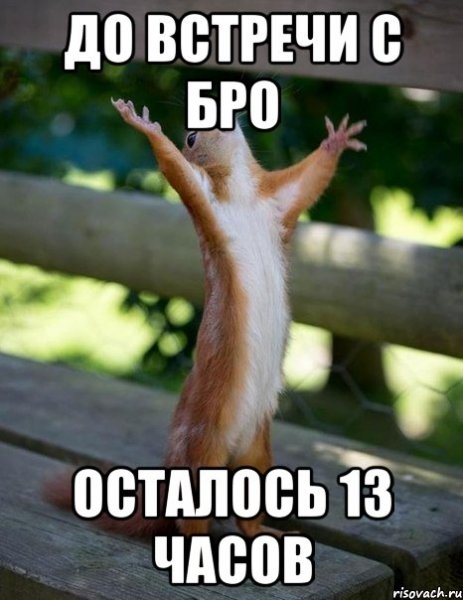 Прости меня белка
