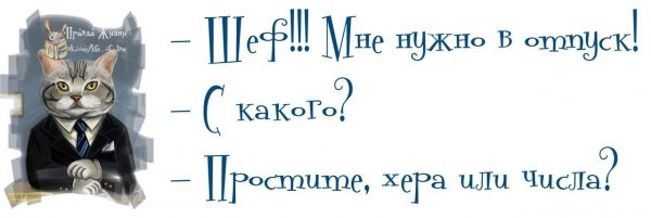 Смешные высказывания про трудоголиков