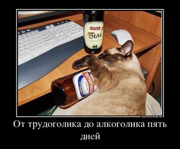 Шутки про трудоголиков