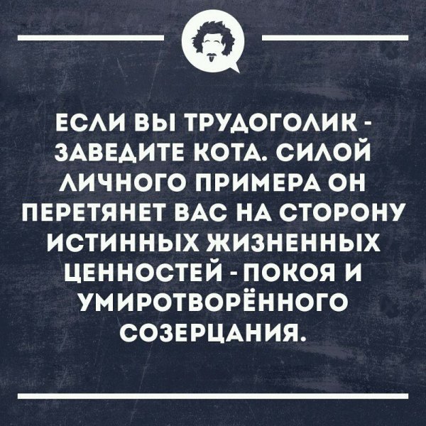 Трудоголик прикол