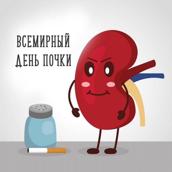 Почки смешные картинки