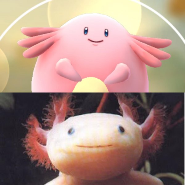 Аксолотль зеленый