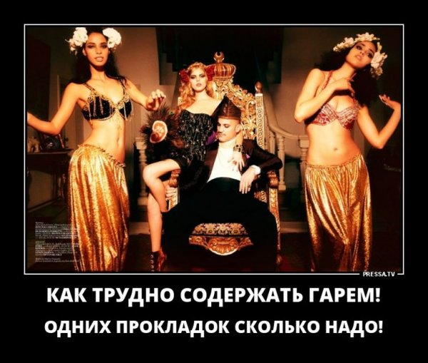 Анекдоты про гарем картинки