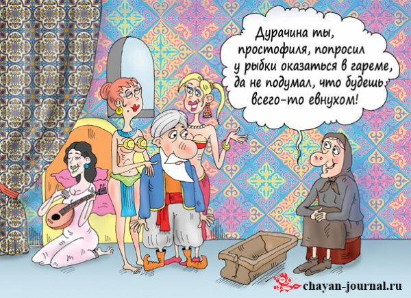 Гарем карикатура