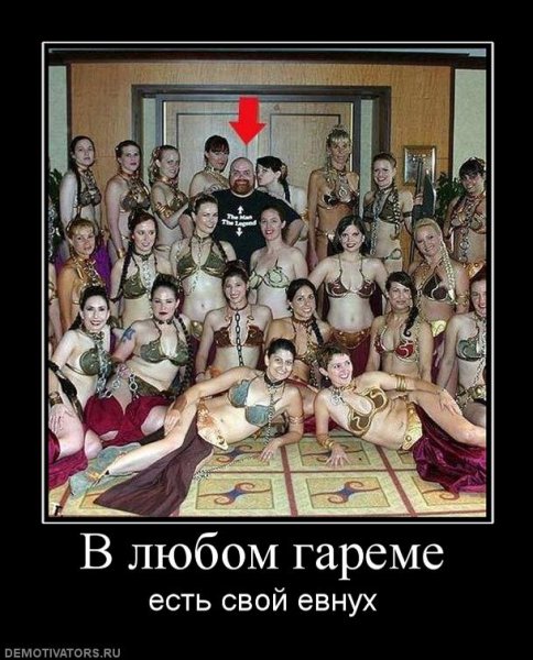 Гарем Мем