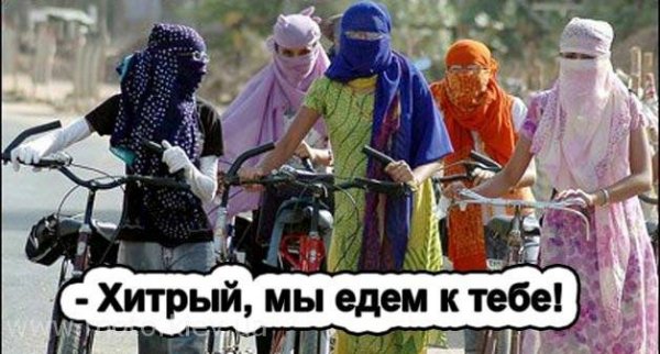 Гарем прикол