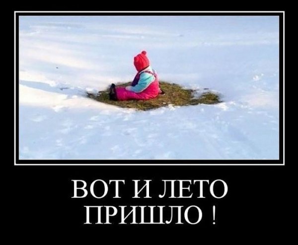 Вот и лето пришло