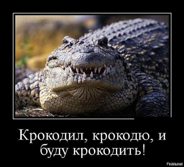 Картинки смешные про крокодила (52 фото)