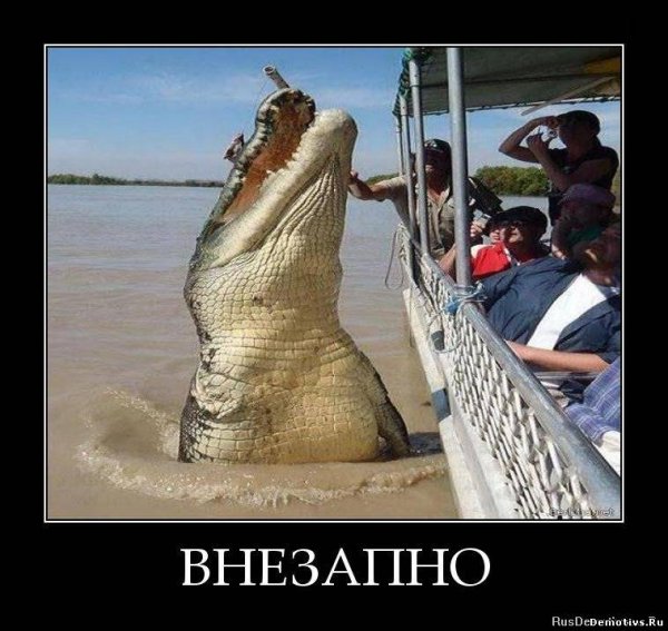 Шутки про крокодила