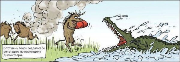 Карикатуры про крокодилов