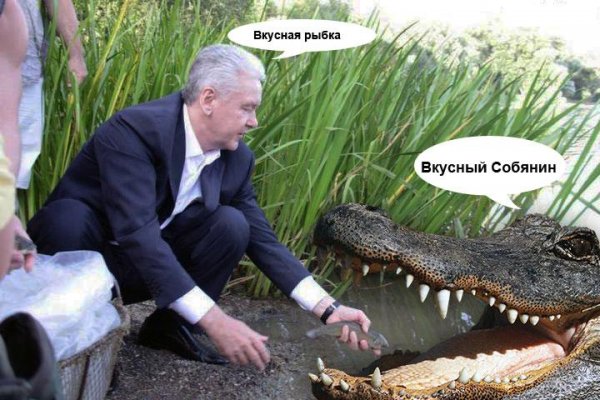 Шутки про крокодилов