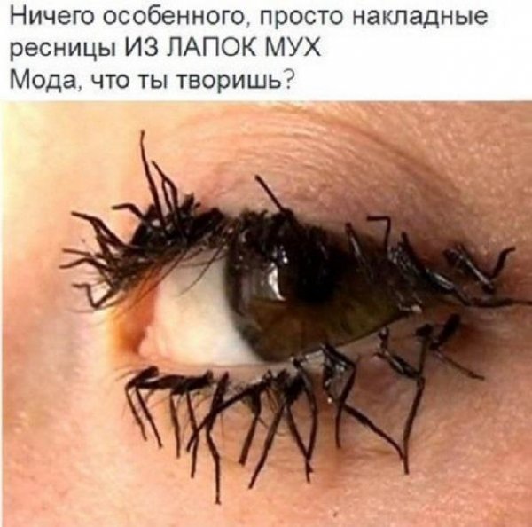 Джессика Харрисон ресницы