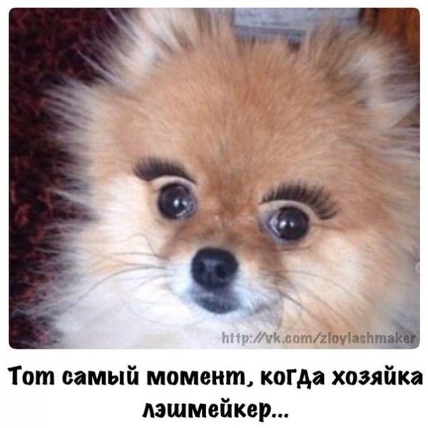 Наращивание ресниц юмор