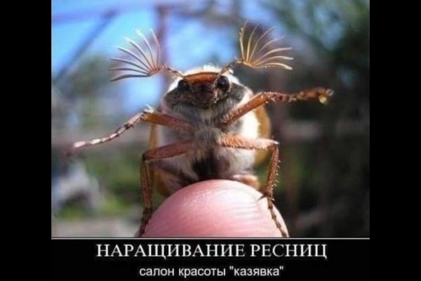 Майский Жук смешной