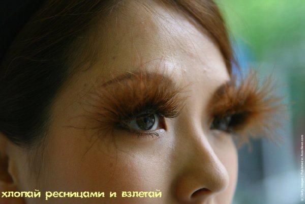 Огромные ресницы