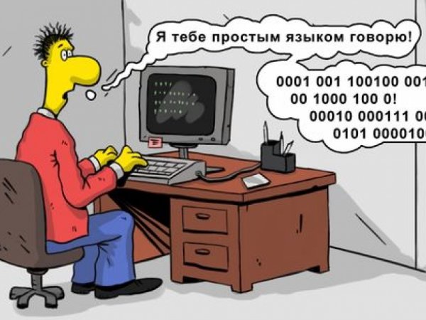 Программист карикатура