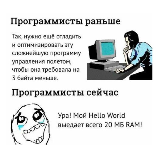 Программист карикатура
