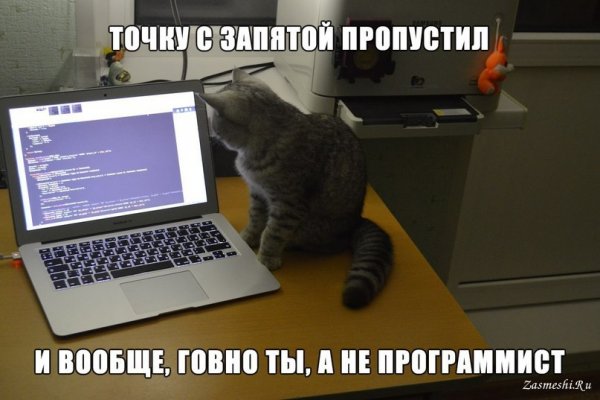Программист приколы