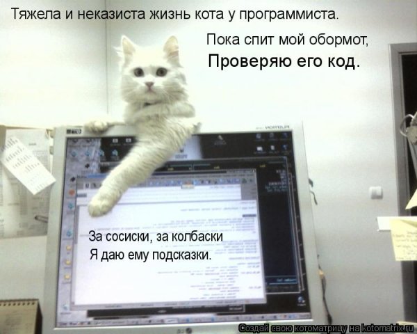 Программист приколы