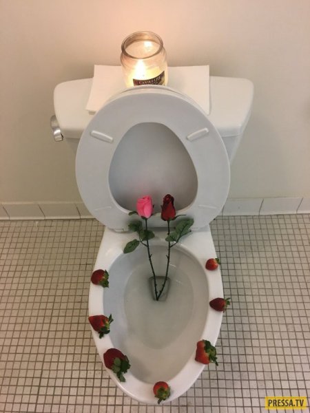 Романтичный унитаз