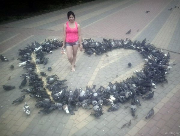 Смешной романтик