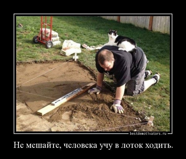 Веселые рабы