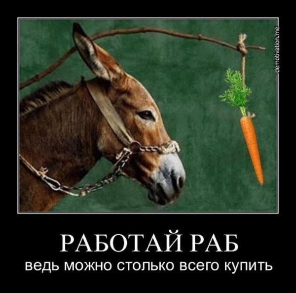 Ослик за морковкой