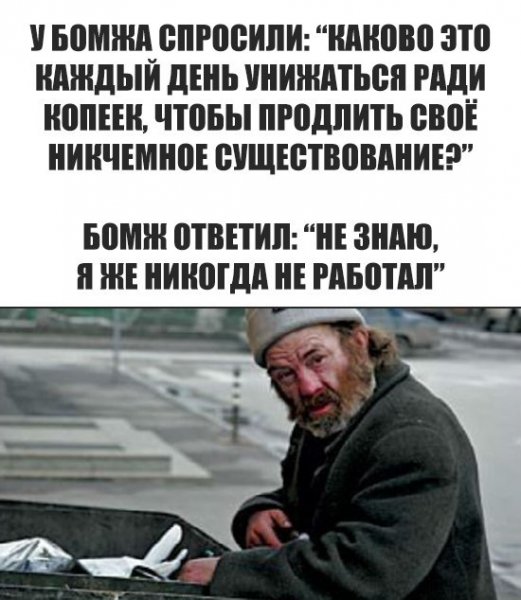 Бомжи высказывания