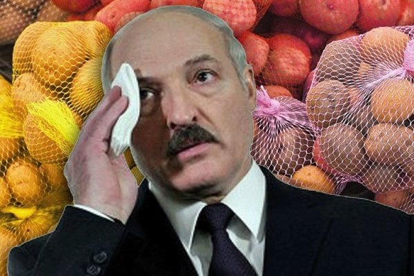 Картофан Лукашенко