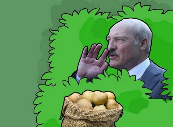 Батька Лукашенко и картошка