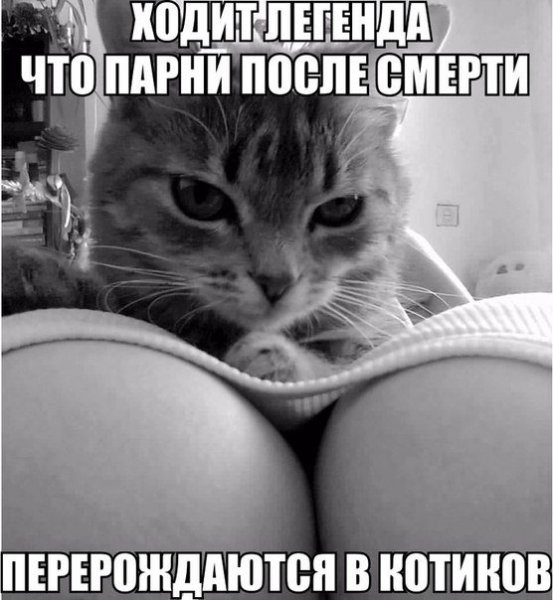 Эротические открытки для поднятия настроения