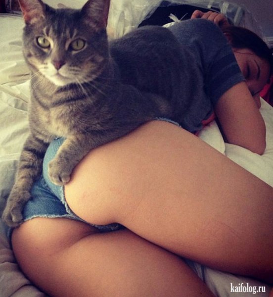 Котик на попе