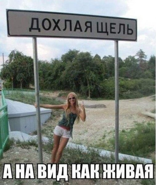 Дохлая щель