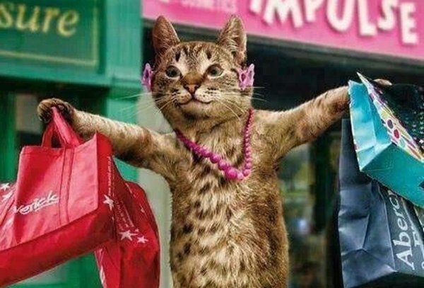 Кошка шопоголик