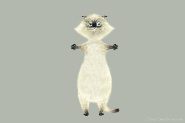 Кот обнимашки