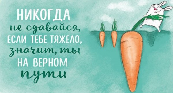 Мотивирующие цитаты с юмором